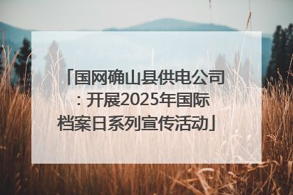 国网确山县供电公司：开展2025年国际档案日系列宣传活动