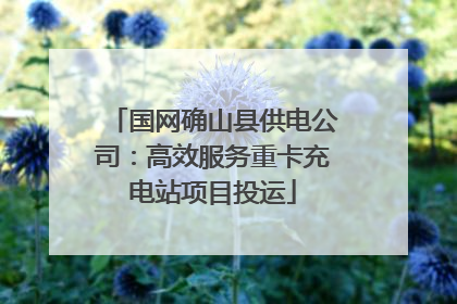 国网确山县供电公司：高效服务重卡充电站项目投运