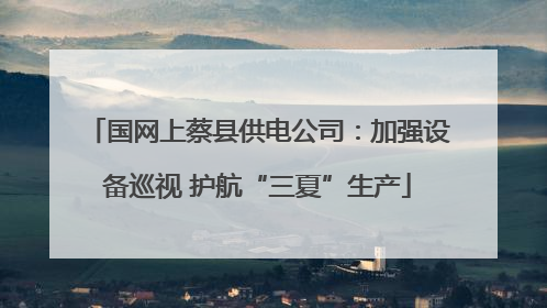 国网上蔡县供电公司：加强设备巡视 护航“三夏”生产