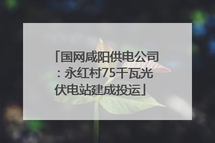 国网咸阳供电公司：永红村75千瓦光伏电站建成投运