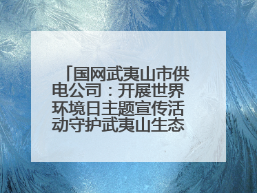 国网武夷山市供电公司：开展世界环境日主题宣传活动守护武夷山生态“高颜值”