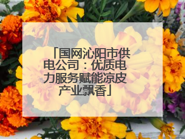 国网沁阳市供电公司：优质电力服务赋能凉皮产业飘香