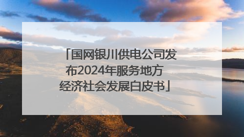 国网银川供电公司发布2024年服务地方经济社会发展白皮书