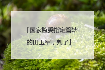 国家监委指定管辖的田玉军，判了