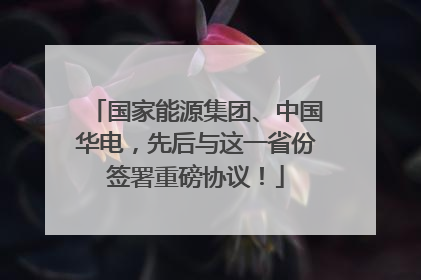 国家能源集团、中国华电，先后与这一省份签署重磅协议！