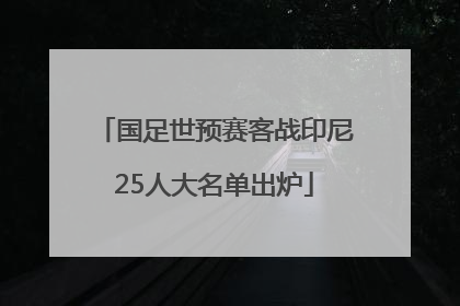 国足世预赛客战印尼25人大名单出炉