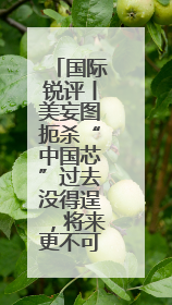 国际锐评丨美妄图扼杀“中国芯”过去没得逞，将来更不可能
