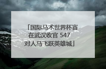 国际马术世界杯赛在武汉收官 547对人马飞跃英雄城