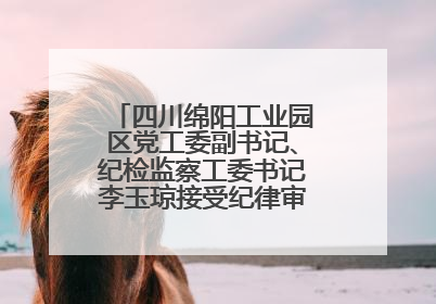 四川绵阳工业园区党工委副书记、纪检监察工委书记李玉琼接受纪律审查和监察调查