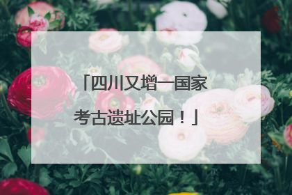 四川又增一国家考古遗址公园！