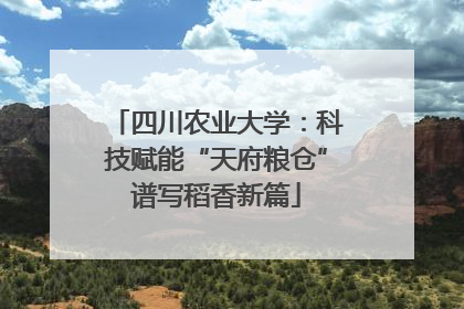 四川农业大学：科技赋能“天府粮仓”谱写稻香新篇