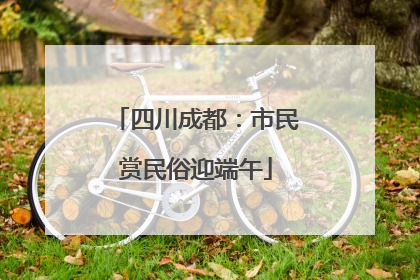 四川成都：市民赏民俗迎端午