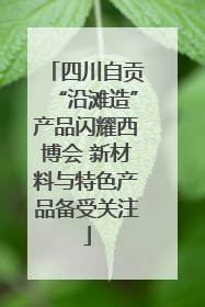 四川自贡“沿滩造”产品闪耀西博会 新材料与特色产品备受关注