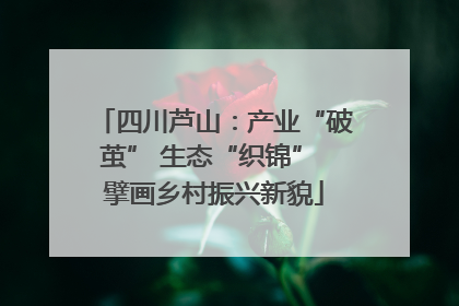 四川芦山：产业“破茧” 生态“织锦” 擘画乡村振兴新貌