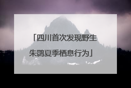 四川首次发现野生朱鹮夏季栖息行为