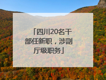 四川20名干部任新职，涉副厅级职务