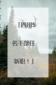四川5名干部任新职！