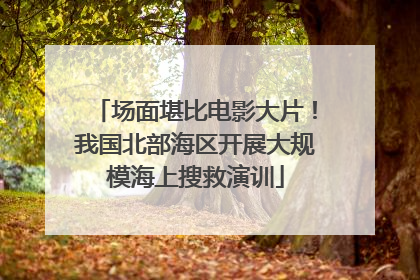 场面堪比电影大片！我国北部海区开展大规模海上搜救演训