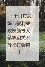 土耳其总统与叙利亚政权领导人就双边关系等举行会谈