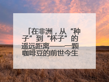 在非洲，从“种子”到“杯子”的遥远距离——一颗咖啡豆的前世今生（三）