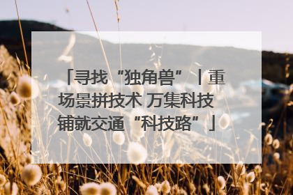 寻找“独角兽”丨重场景拼技术 万集科技铺就交通“科技路”