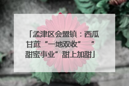 孟津区会盟镇：西瓜甘蔗“一地双收” “甜蜜事业”甜上加甜