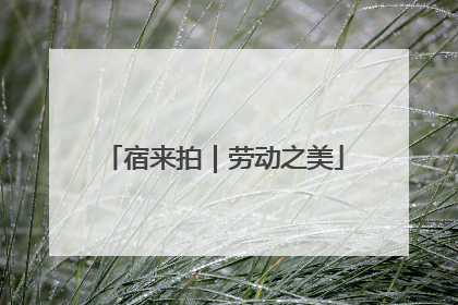 宿来拍｜劳动之美