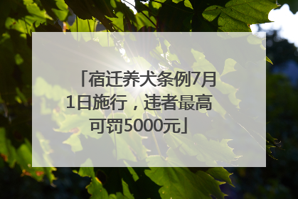宿迁养犬条例7月1日施行，违者最高可罚5000元