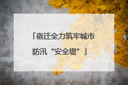 宿迁全力筑牢城市防汛“安全堤”