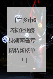 宁乡市62家企业跻身湖南省专精特新榜单！