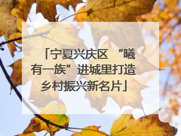 宁夏兴庆区 “曦有一族”进城里打造乡村振兴新名片