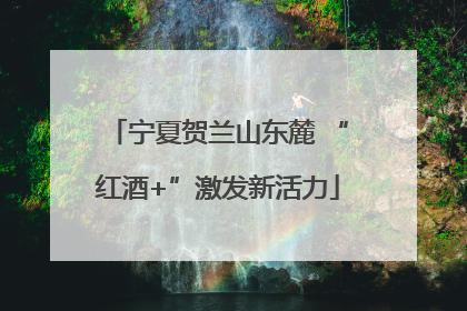 宁夏贺兰山东麓 “红酒+”激发新活力