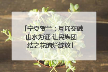 宁夏贺兰：互嵌交融 山水为证 让民族团结之花绚烂绽放
