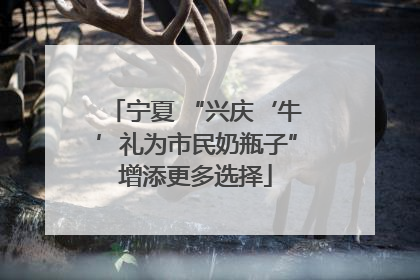 宁夏 “兴庆‘牛’礼为市民奶瓶子”增添更多选择