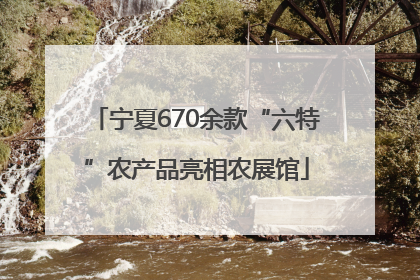 宁夏670余款“六特”农产品亮相农展馆