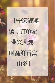 宁远鲤溪镇：订单农业兴大观 时蔬鲜香富山乡