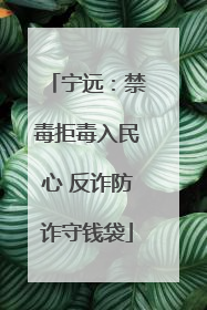 宁远：禁毒拒毒入民心 反诈防诈守钱袋