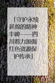 守护永续延绵的精神丰碑——四川着力加强红色资源保护传承