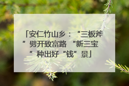 安仁竹山乡：“三板斧”劈开致富路 “新三宝”种出好“钱”景