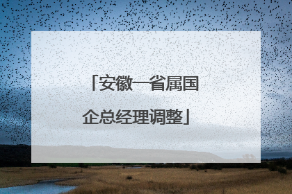 安徽一省属国企总经理调整