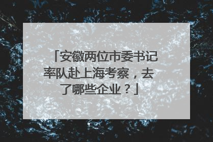 安徽两位市委书记率队赴上海考察，去了哪些企业？