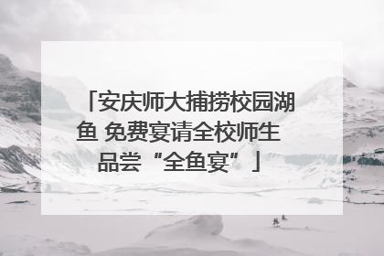 安庆师大捕捞校园湖鱼 免费宴请全校师生品尝“全鱼宴”