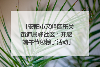 安阳市文峰区东关街道晨峰社区：开展端午节包粽子活动