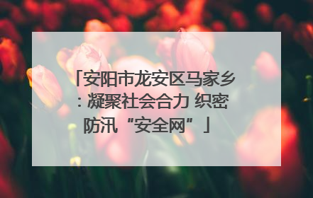 安阳市龙安区马家乡：凝聚社会合力 织密防汛“安全网”