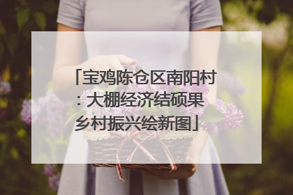 宝鸡陈仓区南阳村：大棚经济结硕果 乡村振兴绘新图