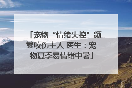 宠物“情绪失控”频繁咬伤主人 医生：宠物夏季易情绪中暑