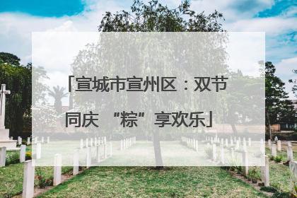 宣城市宣州区：双节同庆 “粽”享欢乐