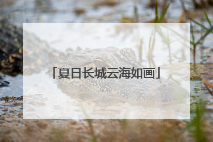 夏日长城云海如画