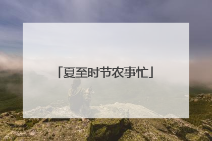 夏至时节农事忙