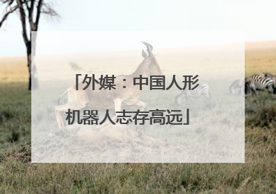 外媒：中国人形机器人志存高远